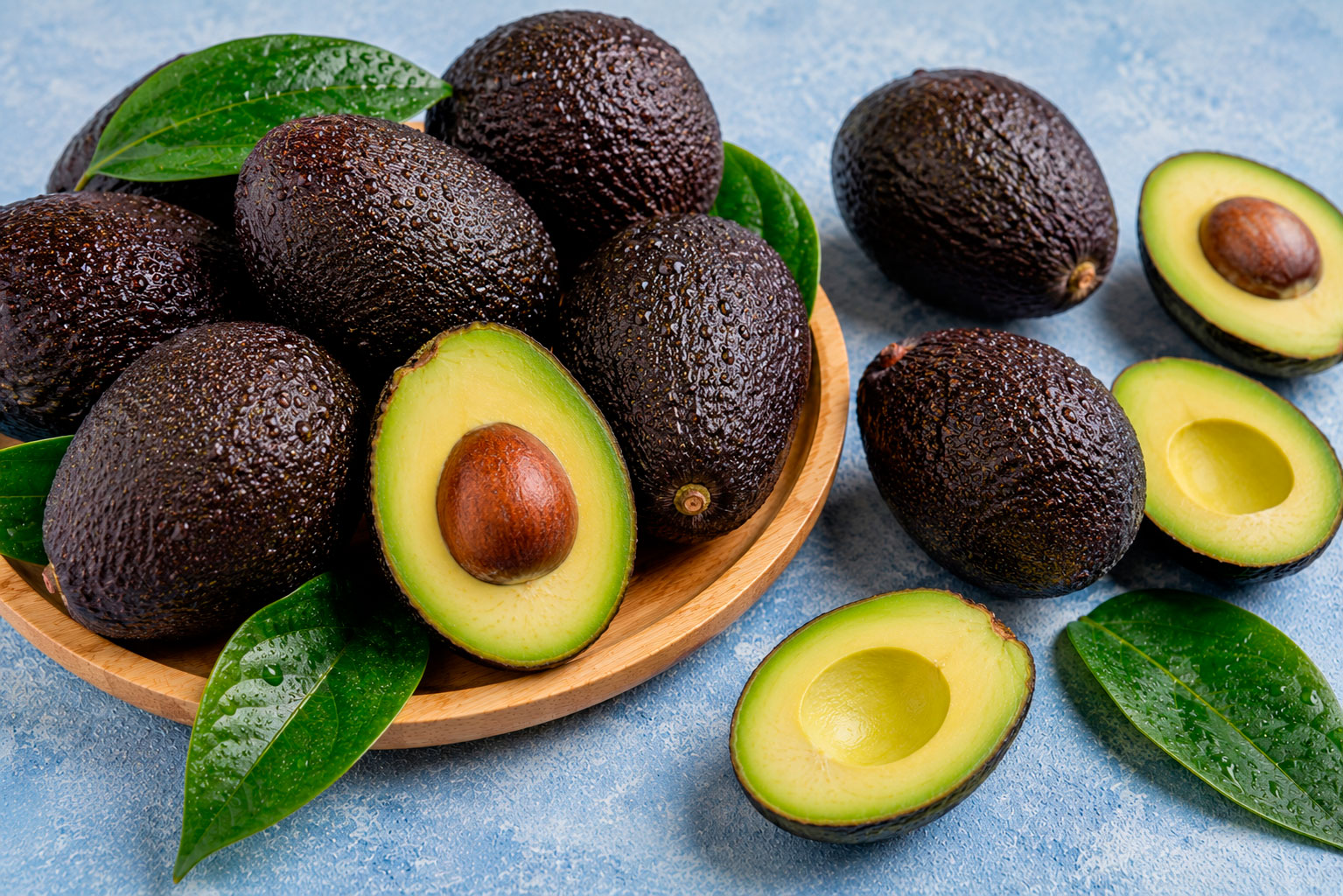 Palta fresca