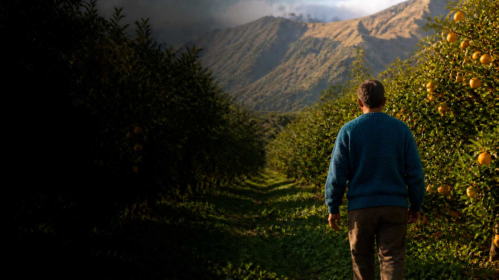 Productor peruano en campo de cítricos